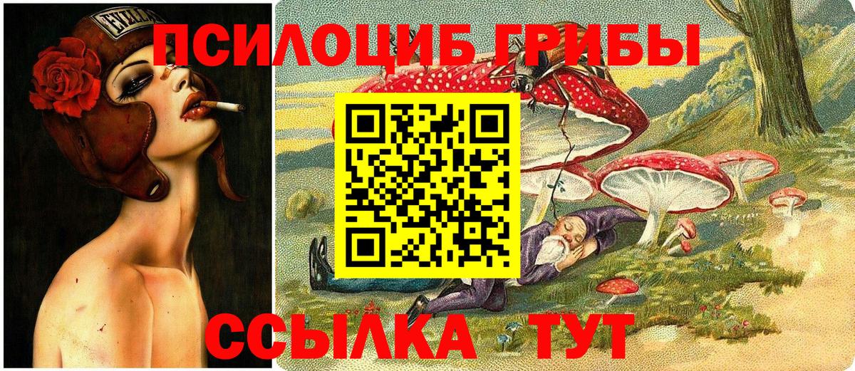 Псилоцибиновые грибы Psilocybine cubensis  сколько стоит  Псилоцибиновые грибы прущие грибы  Большой Камень  Вход с VPN 